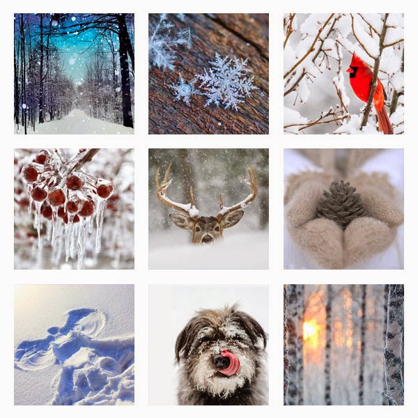 Simon Says Winter Inspiration