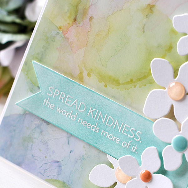 Shari Carroll Spread Kindness 2