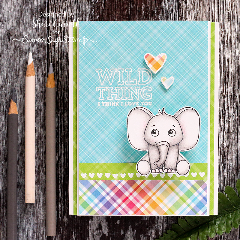 Shari Carroll, Wild and Colorful, Card Kit