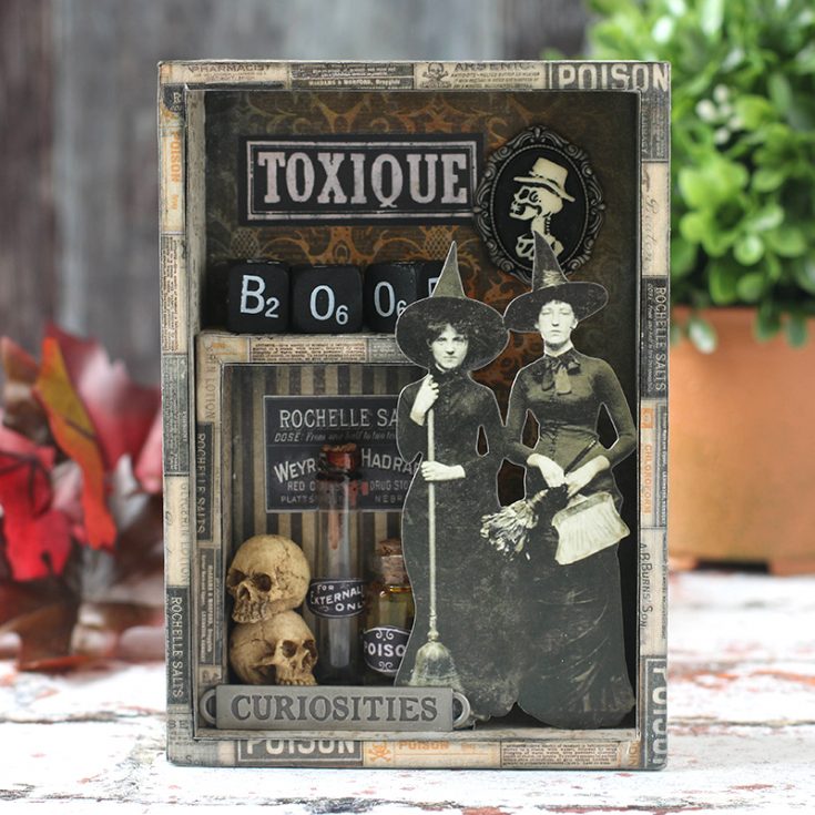 Shari Carroll, Mixed Medium, Tim Holtz