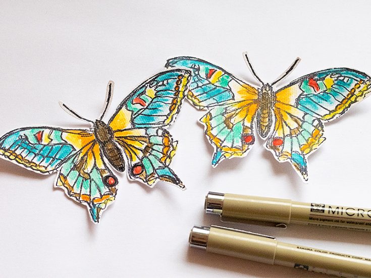 Magical Butterflies