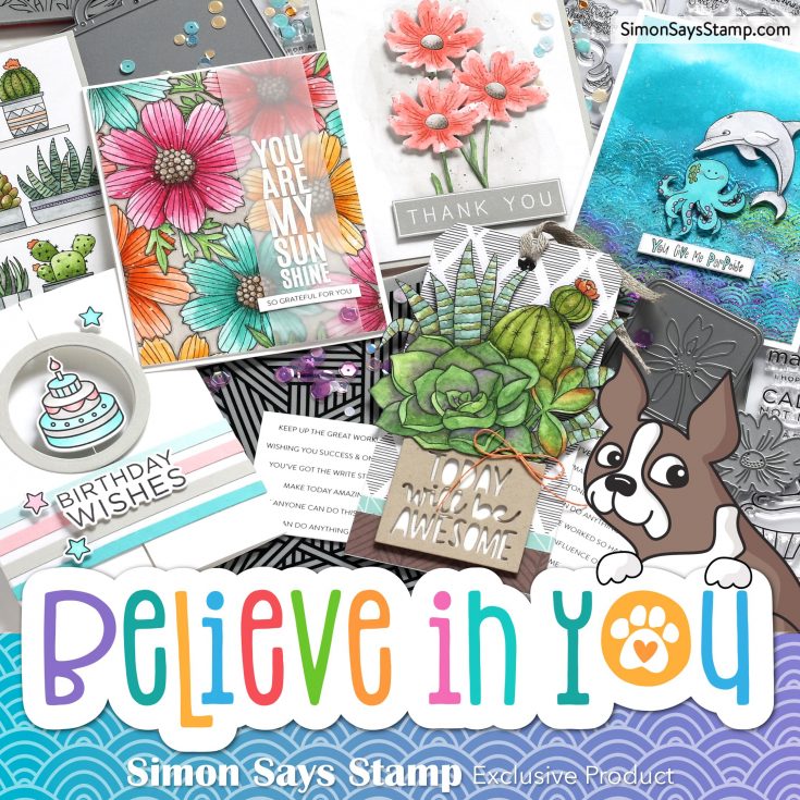 Believe in You Collection