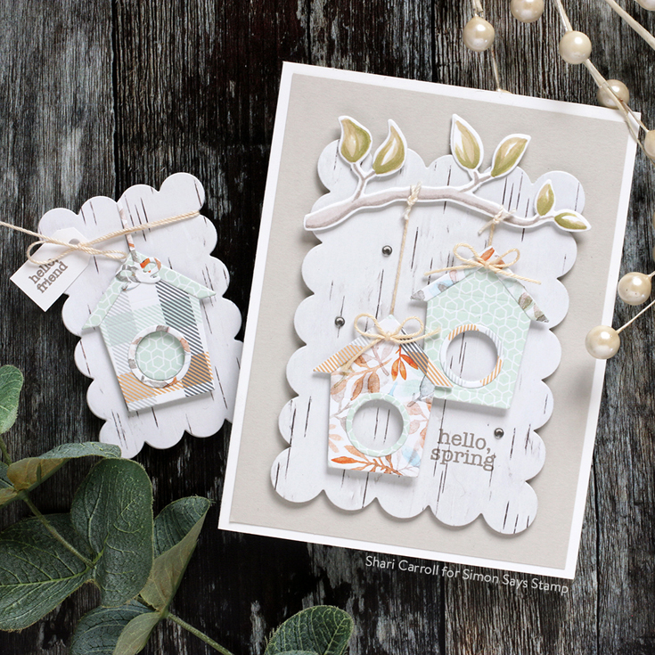 Hello Beautiful Blog Hop Shari Carroll Spring Birds stamp set and die, Chunky A2 Rectangles and Bitty Birdhouse dies