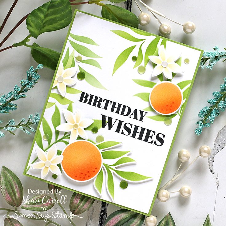 Yay You Blog Hop Shari Carroll Orange Blossoms stencil and coordinating die and Birthday Wishes stamp set